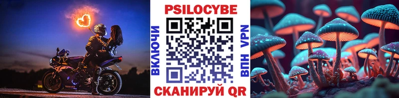 Псилоцибиновые грибы Psilocybine cubensis  Новый Уренгой 